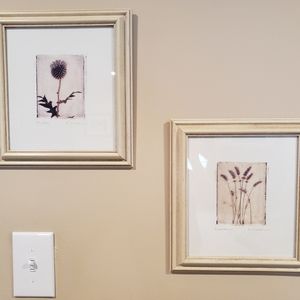 Set of two framed wall art pictures